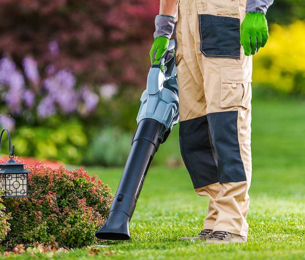 Leaf Blower​ carburetor