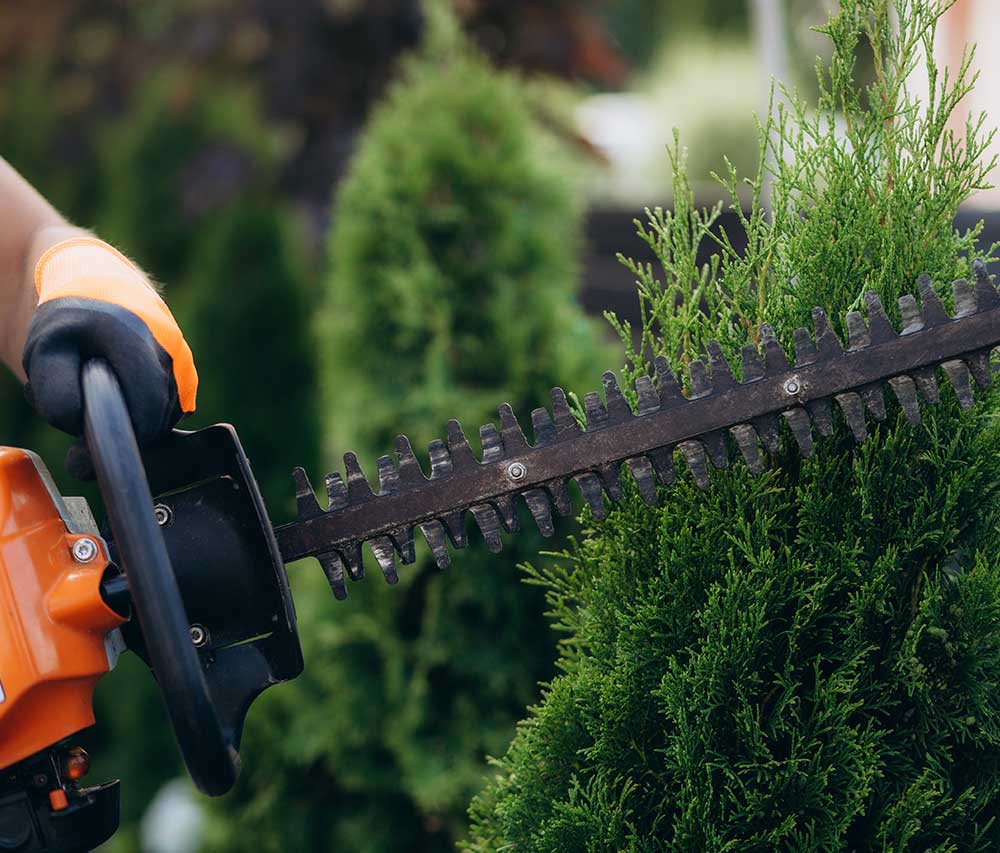 Trimmer​ Carburetor