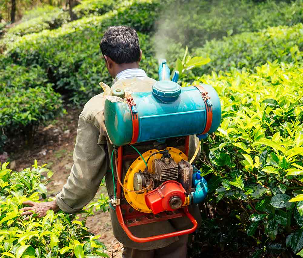 Sprayer​ Carburetor