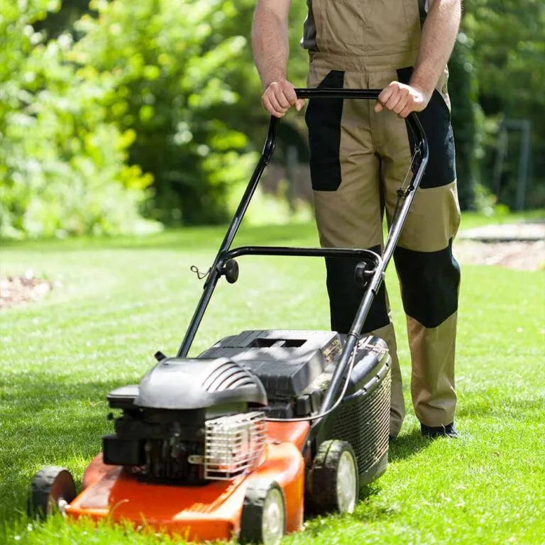 carburetors for lawn mowers