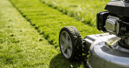 Carburetor in a Lawn Mower