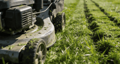 Carburetor in a Lawn Mower